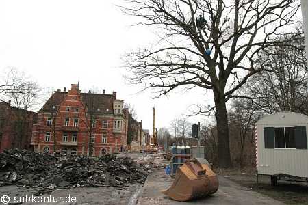 Baumbesetzung in Lüneburg